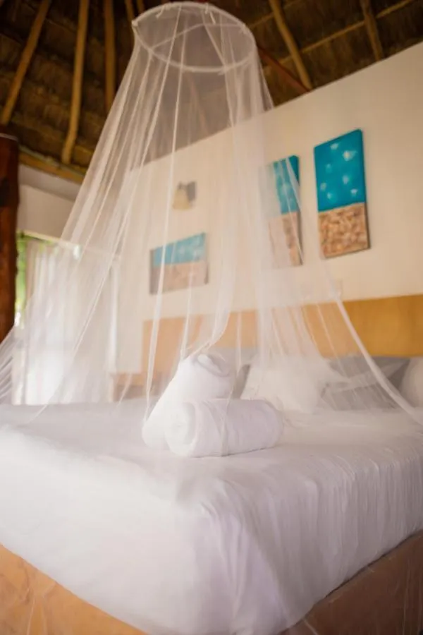 Hotel & Beach Club Ojo De Agua Пуэрто-Морелос 3*,