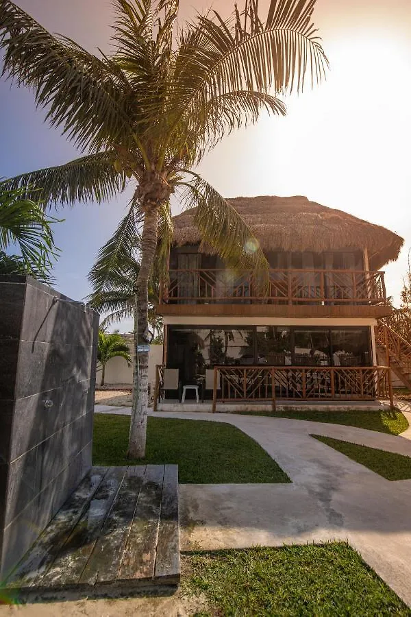 Hotel & Beach Club Ojo De Agua Puerto Morelos