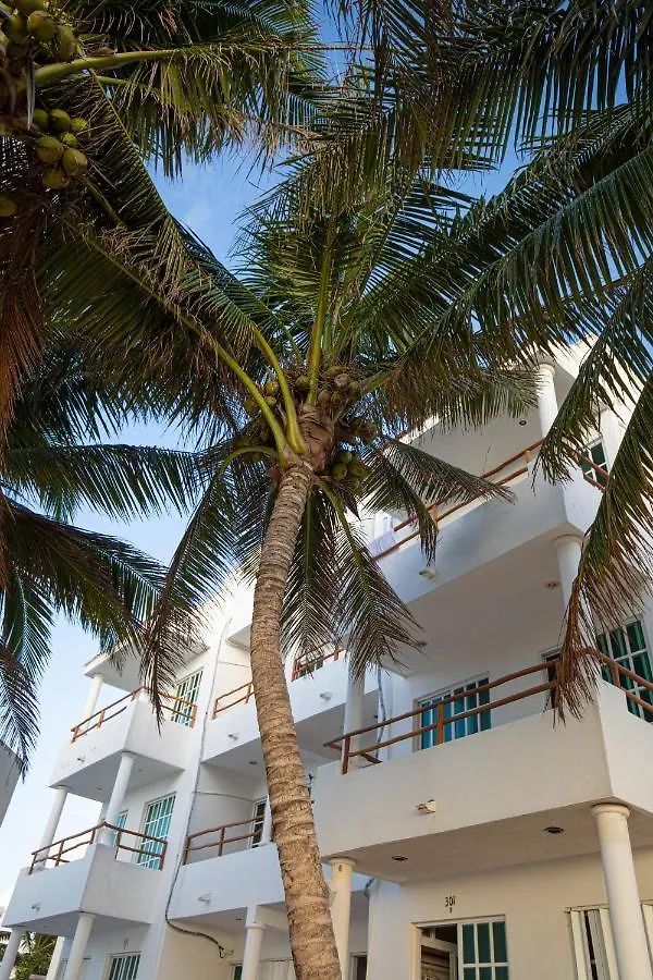 Hotel & Beach Club Ojo De Agua Puerto Morelos Mexico